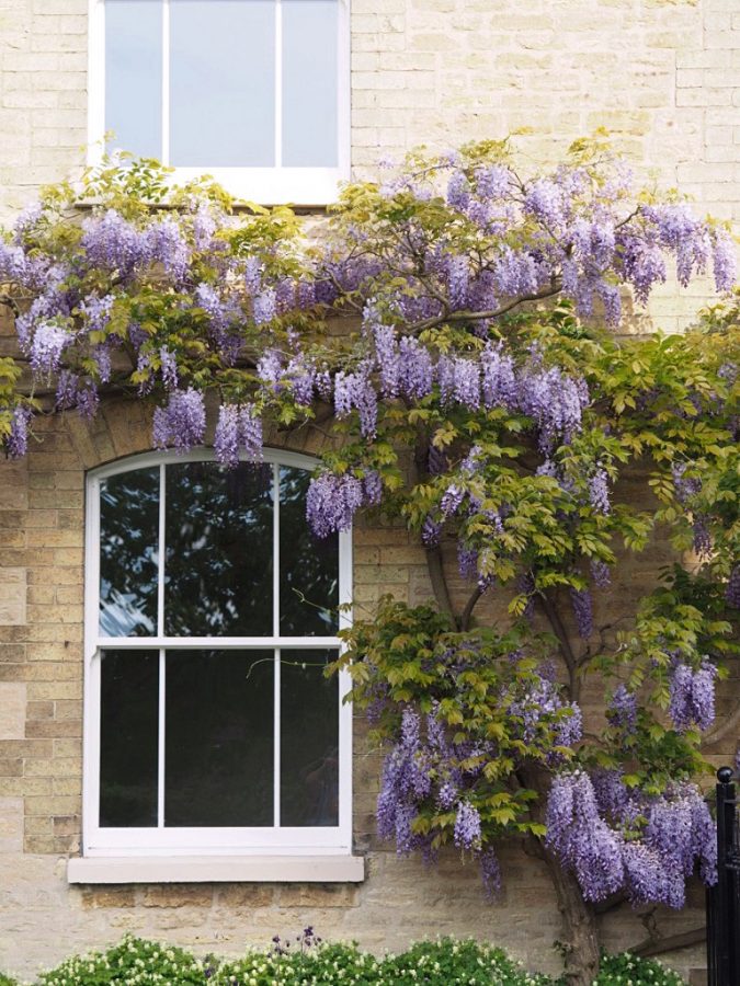 roseview-pvc-arched-sash-window